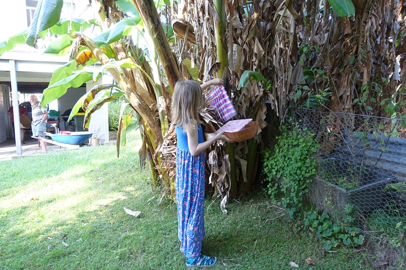 DSC08109